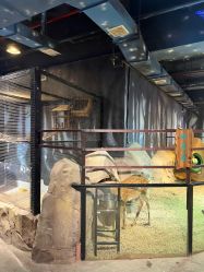 -酷嗒动物文化乐园(cutezoo西溪乐天城店)