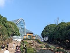 -南山植物园