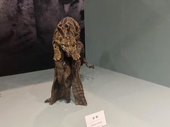 -国家自然博物馆