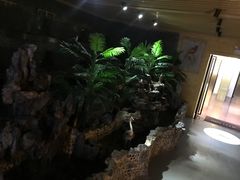 -润青四季音乐主题餐厅·椰子鸡(罗湖店)
