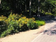 -北极寺公园