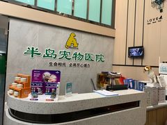 -半岛宠物医院24小时(科华中路店)