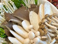 -揽月斋炙子烤肉·清真(安定门·五道营店)