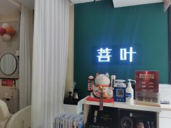 -菩叶脱发白发中心