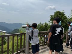 -江南天池