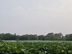 -云龙湖旅游景区