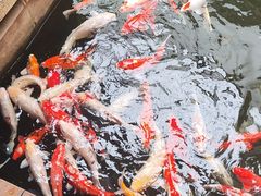 -新世纪大酒楼·30年南海菜