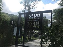 -瑞穗牧场