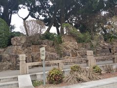 -嘉定紫藤园