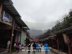 -栾川竹海野生动物园