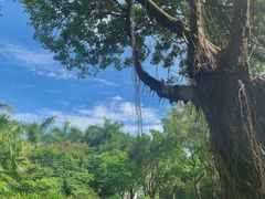 -深圳国际园林花卉博览园