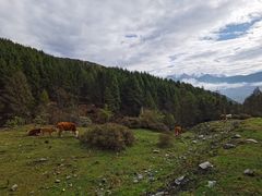 -硗碛藏寨·神木垒景区