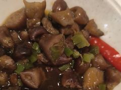 -菊上料理(蜀山银泰百货店)