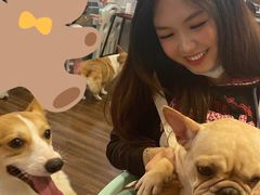 -柯斗斗主题餐厅·狗咖·围炉煮茶·茶饮(国瑞升平里店)