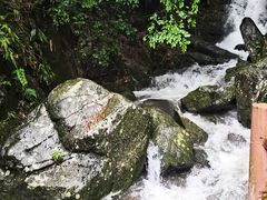 -藏龙百瀑风景区