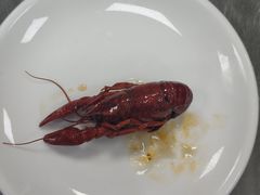 -东北亚滑雪场