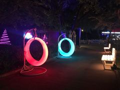 -枫花园汽车电影院(朝阳公园店)