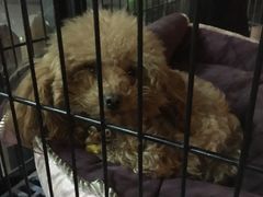 -赢吧Bliss音乐酒吧