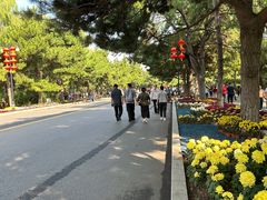 -北陵公园