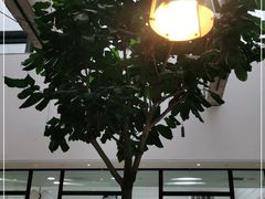 -大树餐厅(红旗街万达店)