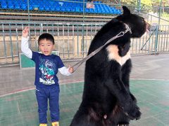 -东方熊牧场