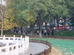 -丰台花园