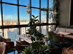 -北京东三环希尔顿逸林酒店