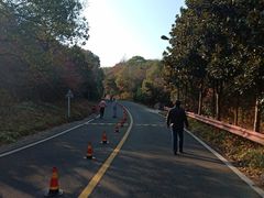 -宝界山林公园