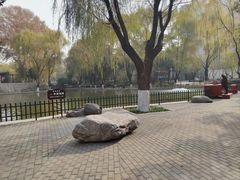 -西安市长乐公园