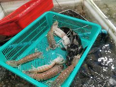 -拉威海鲜市场