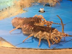 -友鹏海鲜(新宜白大道店)