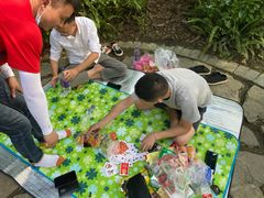 -铁山坪森林公园