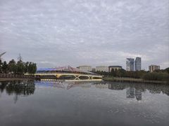 -南汇新城城市公园