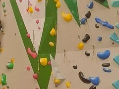 -绿壁虎攀岩基地(Tcar店)
