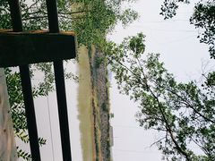 -大湾区中央湿地公园