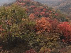 -云岫谷自然风景区