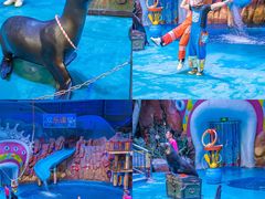 -烟台海昌鲸鲨海洋公园