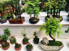 -秦美花卉(天朗·莱茵小城2期店)