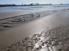 -良友·海鲜青岛菜(五四广场店)