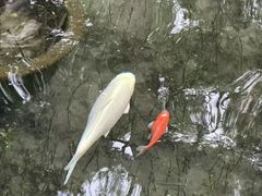 -北京植物园南门售票处