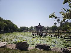 -稻香湖公园