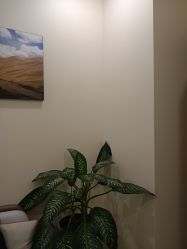 -北京米扬丽格医疗美容·联合丽格鼻整形中心