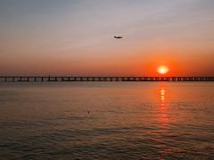 -宝安西湾红树林湿地公园