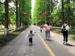 -金岛生态园烧烤露营地
