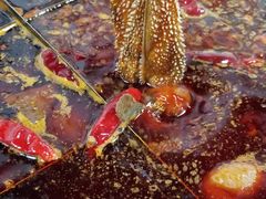 -铜元老码头鳝鱼火锅