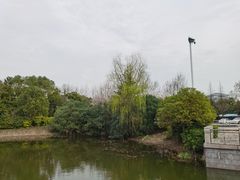 -蠡湖中央公园