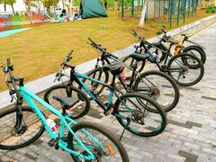 -xds喜德盛自行车(滴水湖店)