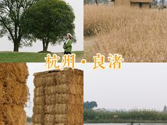 -良渚古城遗址公园