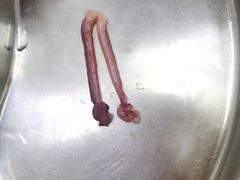 -瑞派天宁宠物医院·猫科·异宠中心