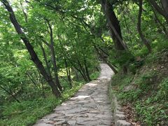 -北京上方山国家森林公园